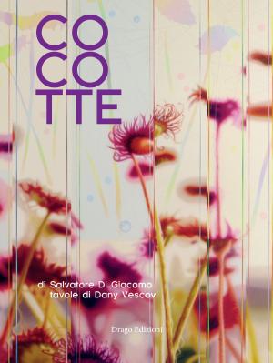Book cover of Cocotte