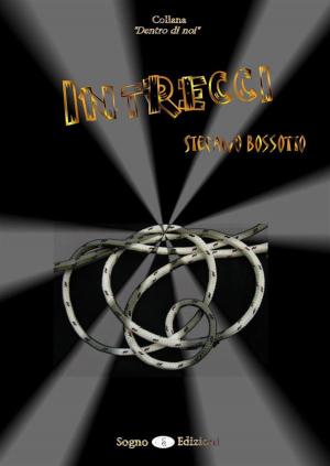Cover of the book Intrecci by Michele Richard
