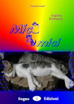 Book cover of Mici Amici