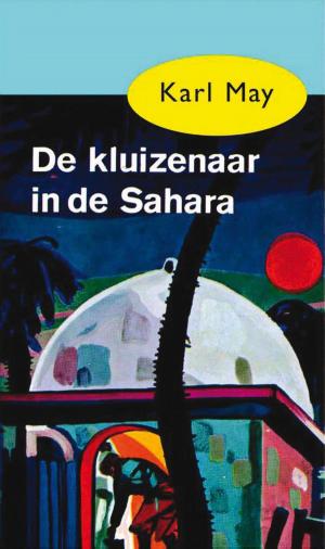 Cover of the book De kluizenaar in de Sahara by Jackie van Laren
