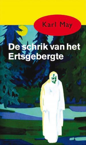 Cover of the book De schrik van het Ertsgebergte by Jens Christian Grøndahl