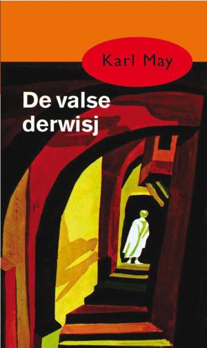 Cover of the book De valse derwisj by Gillian Rubinstein