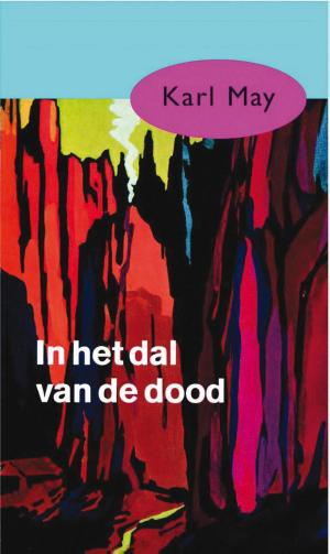 Cover of the book In het dal van de dood by Karl May