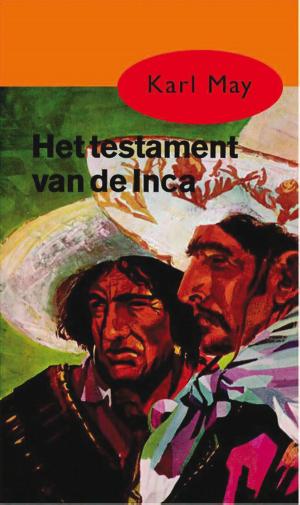 Cover of the book Het testament van de Inca by Samantha Stroombergen