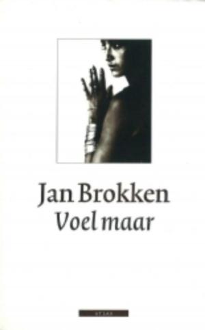 Book cover of Voel maar