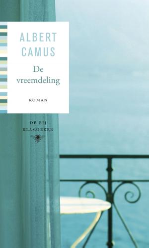 Cover of the book De vreemdeling by Margriet de Moor