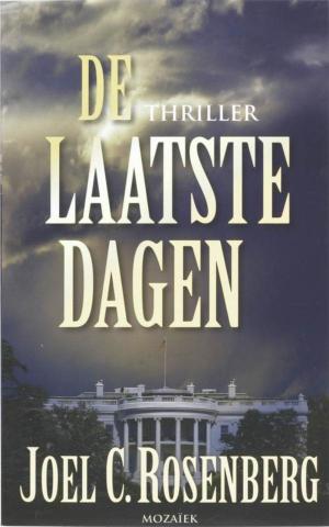 Book cover of De laatste dagen