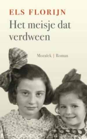 Cover of the book Het meisje dat verdween by Rianne Verwoert