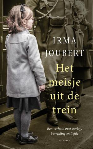 Cover of the book Het meisje uit de trein by Julia Burgers-Drost, Marjolein van Diest