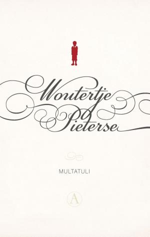 Cover of the book Woutertje Pieterse by Patrick Modiano