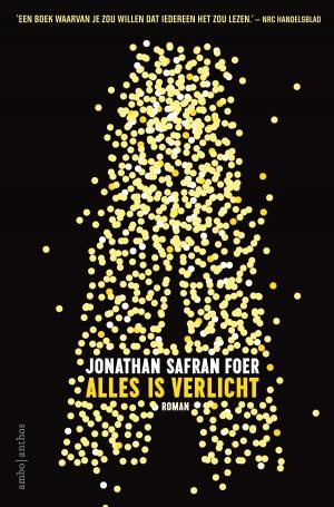 Book cover of Alles is verlicht