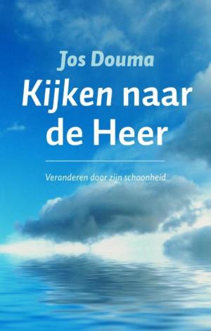 Cover of the book Kijken naar de heer by Frans Willem Verbaas