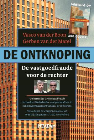 Cover of the book De ontknoping by Michiel Panhuysen, Nicole Maalste