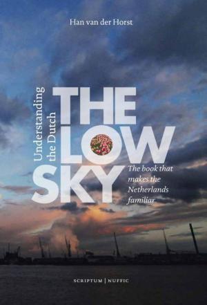 Cover of the book The low sky by Ina Smittenberg