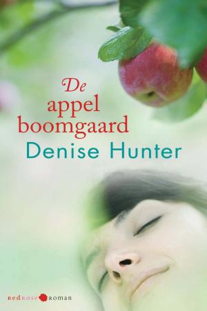 Book cover of De appelboomgaard