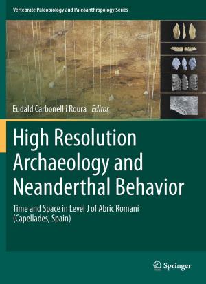 Cover of the book High Resolution Archaeology and Neanderthal Behavior by Enno Freye