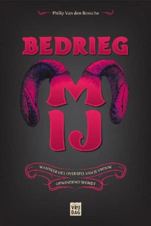 Cover of the book Bedrieg mij by Kris Van Steenberge