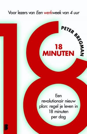 Cover of the book 18 Minuten by Rosie Walsh
