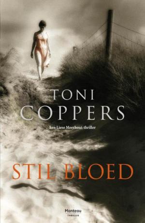 Cover of Stil bloed