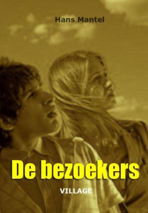Cover of the book De bezoekers by Esther Radstaak