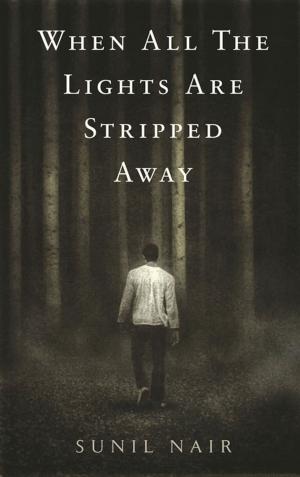 Cover of the book When All the Lights Are Stripped Away by Nishant Kasibhatla