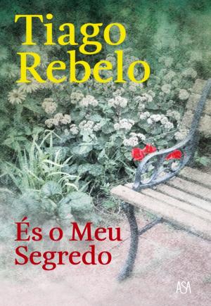 Cover of the book És o Meu Segredo by Simona Ahmstedt