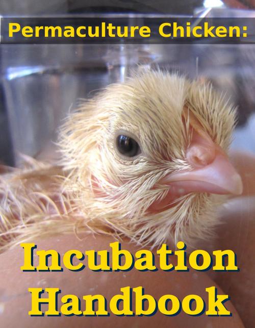 Cover of the book Permaculture Chicken: Incubation Handbook by Anna Hess, Wetknee Books