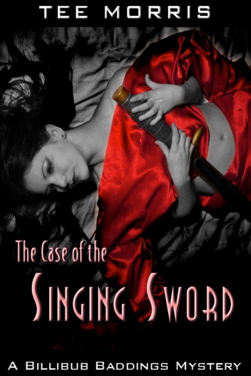 Cover of the book The Case of the Singing Sword by Tee Morris, Imagine That! Studios