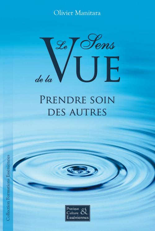 Cover of the book Le sens de la vue by Olivier Manitara, Editions Essenia