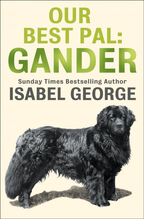 Cover of the book Our Best Pal: Gander by Isabel George, HarperCollins Publishers