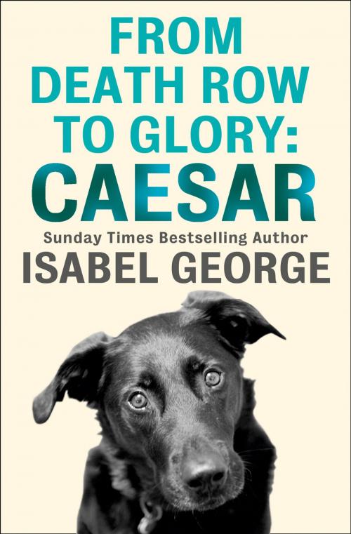 Cover of the book From Death Row To Glory: Caesar by Isabel George, HarperCollins Publishers