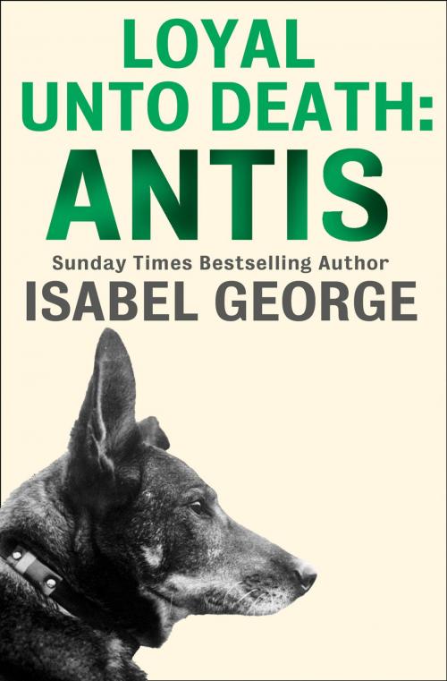 Cover of the book Loyal Unto Death: Antis by Isabel George, HarperCollins Publishers