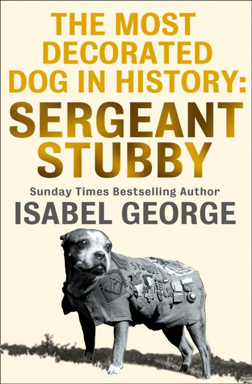 Cover of the book The Most Decorated Dog In History: Sergeant Stubby by Isabel George, HarperCollins Publishers