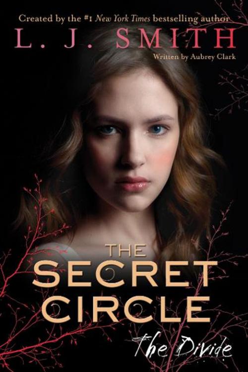 Cover of the book The Secret Circle: The Divide by L. J. Smith, HarperTeen