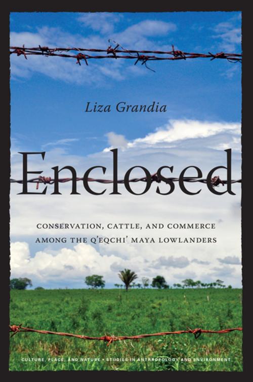 Cover of the book Enclosed by Liza Grandia, University of Washington Press