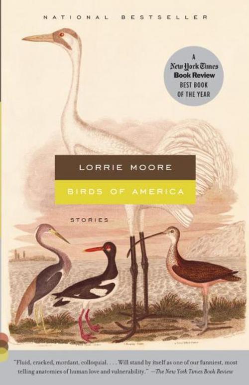 Cover of the book Birds of America by Lorrie Moore, Knopf Doubleday Publishing Group
