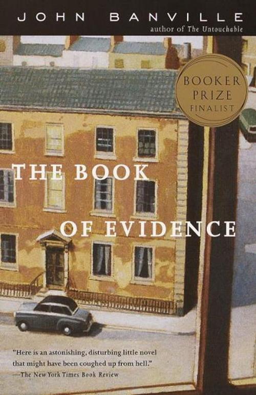 Cover of the book The Book of Evidence by John Banville, Knopf Doubleday Publishing Group