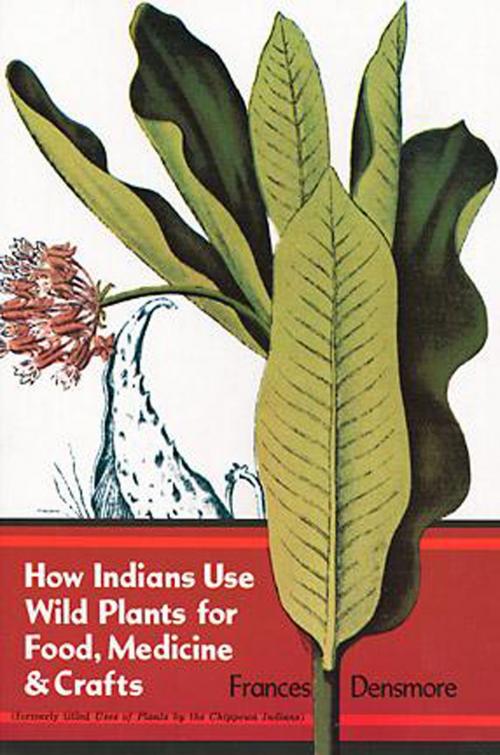 Cover of the book How Indians Use Wild Plants for Food, Medicine & Crafts by Frances Densmore, Dover Publications