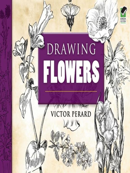 Cover of the book Drawing Flowers by Victor Perard, Dover Publications