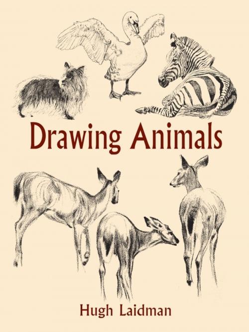 Cover of the book Drawing Animals by Hugh Laidman, Dover Publications