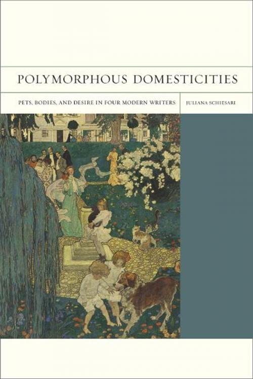 Cover of the book Polymorphous Domesticities by Juliana Schiesari, University of California Press