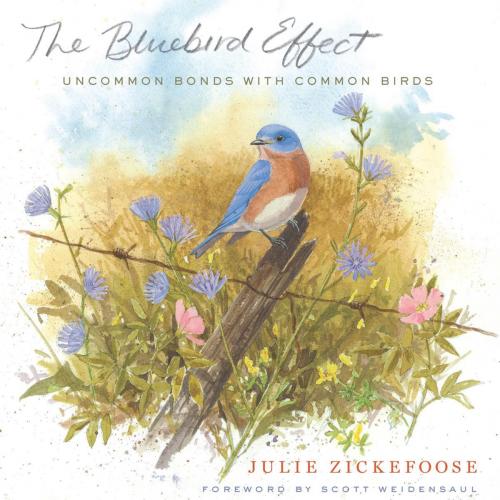 Cover of the book The Bluebird Effect by Julie Zickefoose, HMH Books