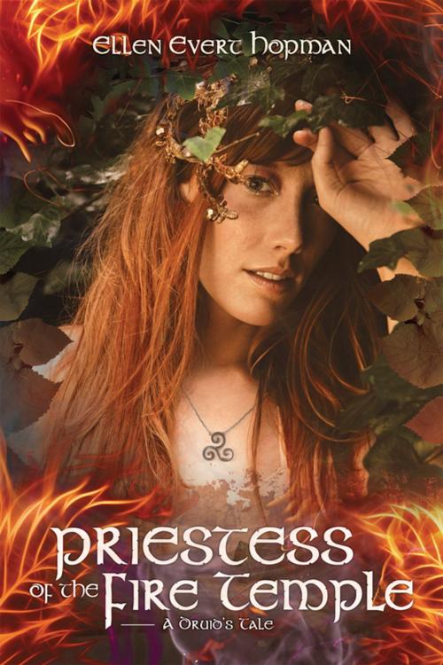 Cover of the book Priestess of the Fire Temple by Ellen Evert Hopman, Llewellyn Worldwide, LTD.