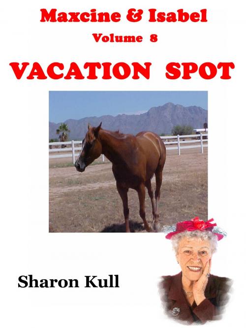 Cover of the book Vacation Spot by Sharon Kull, SynergEbooks