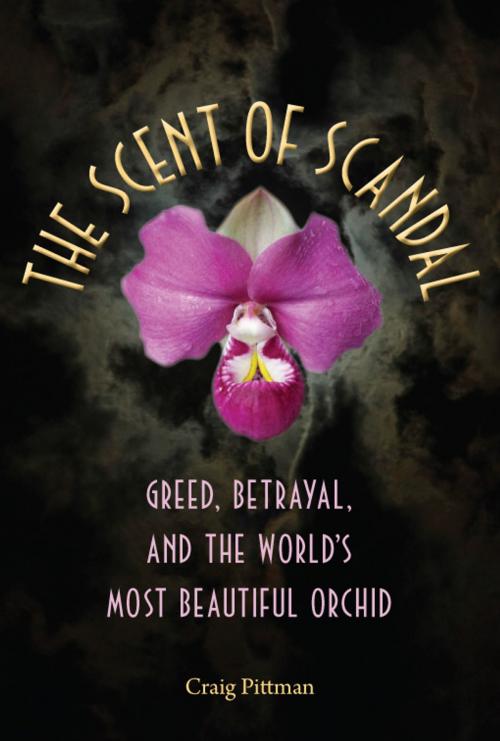 Cover of the book The Scent of Scandal: Greed, Betrayal, and the World's Most Beautiful Orchid by Craig Pittman, University Press of Florida