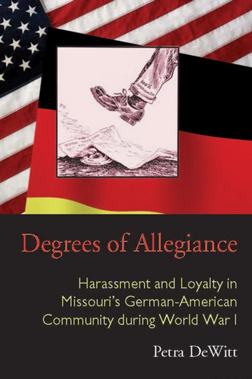 Cover of the book Degrees of Allegiance by Petra DeWitt, Ohio University Press
