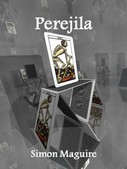 Cover of the book Perejila by simon maguire, simon maguire