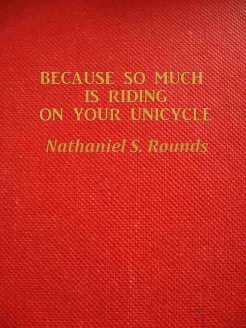 Cover of the book BECAUSE SO MUCH IS RIDING ON YOUR UNICYCLE by Fowlpox Press, Fowlpox Press