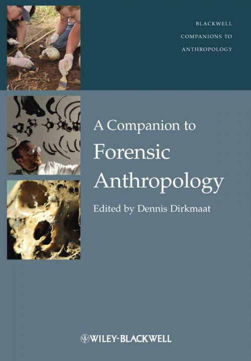 Cover of the book A Companion to Forensic Anthropology by , Wiley