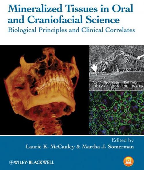 Cover of the book Mineralized Tissues in Oral and Craniofacial Science by , Wiley